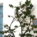 Hotel Saint George Chrisi Akti (Paros)